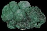 Botryoidal Malachite Crystal Formation - Congo #67447-1